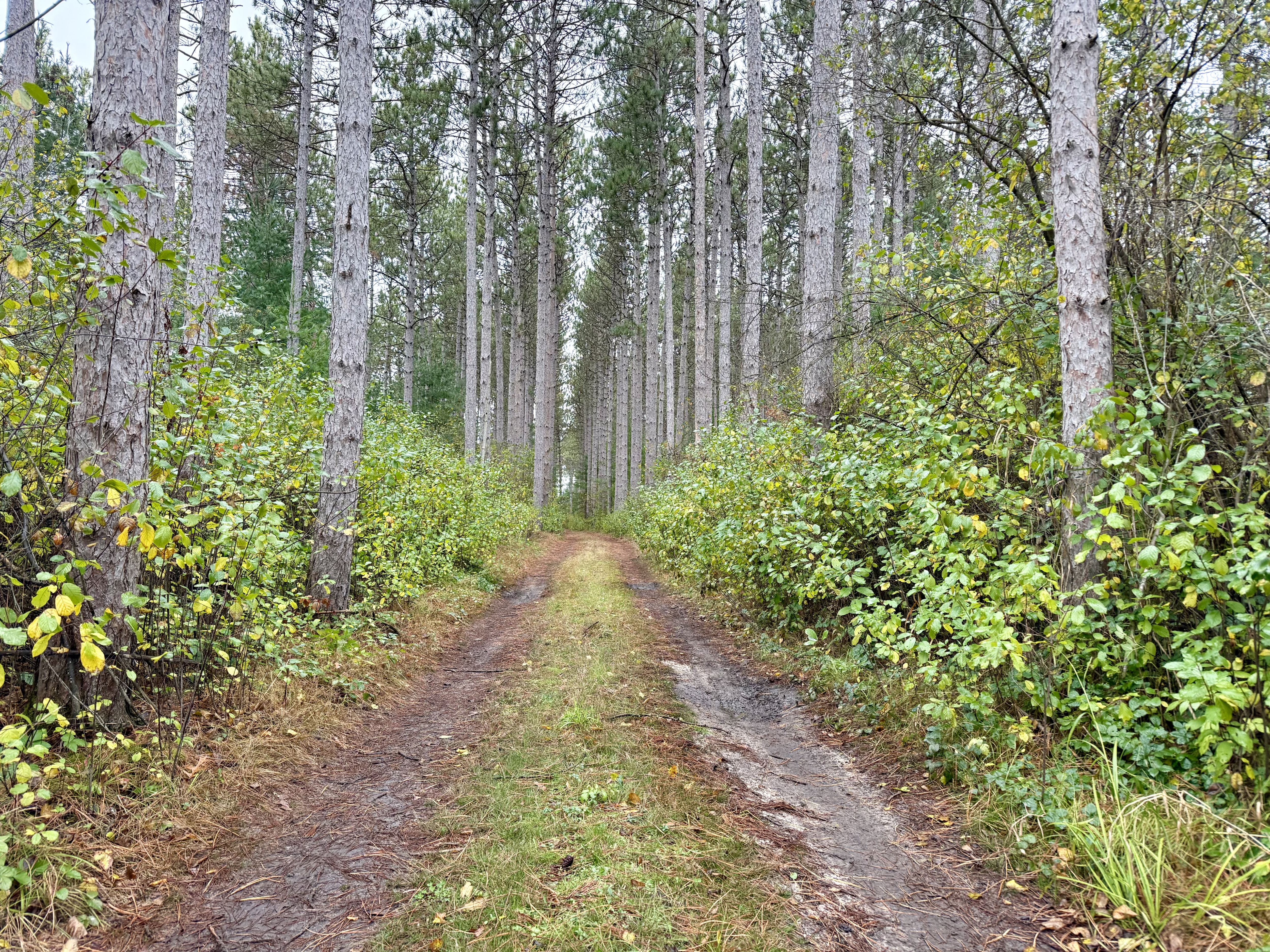 Listing Photo: Photo Oct 21 2025, 1 26 52 PM